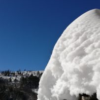 Yin et yang, douceur et fraîcheur !